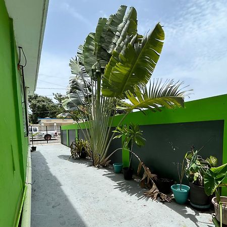 Vieques Good Vibe Guest House ภายนอก รูปภาพ