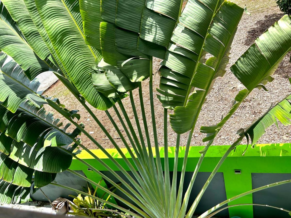 Vieques Good Vibe Guest House ภายนอก รูปภาพ