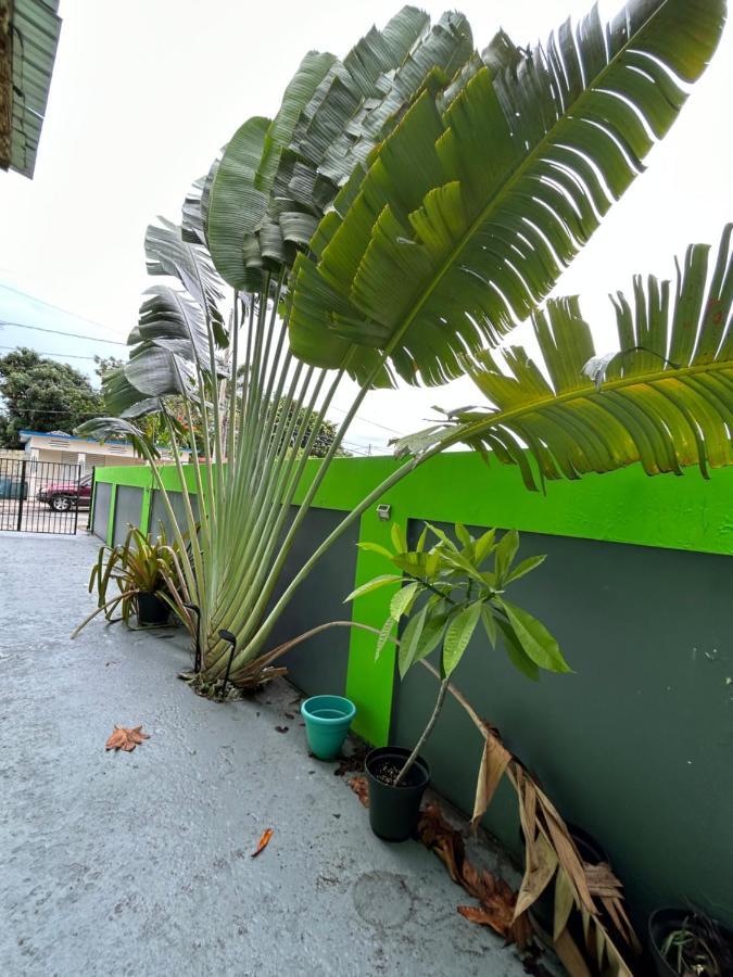 Vieques Good Vibe Guest House ภายนอก รูปภาพ