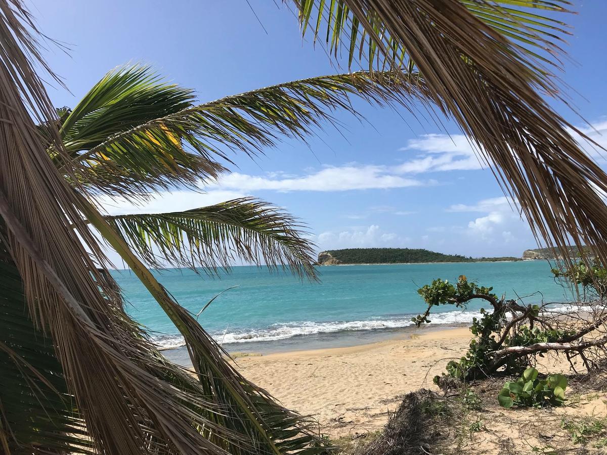 Vieques Good Vibe Guest House ภายนอก รูปภาพ
