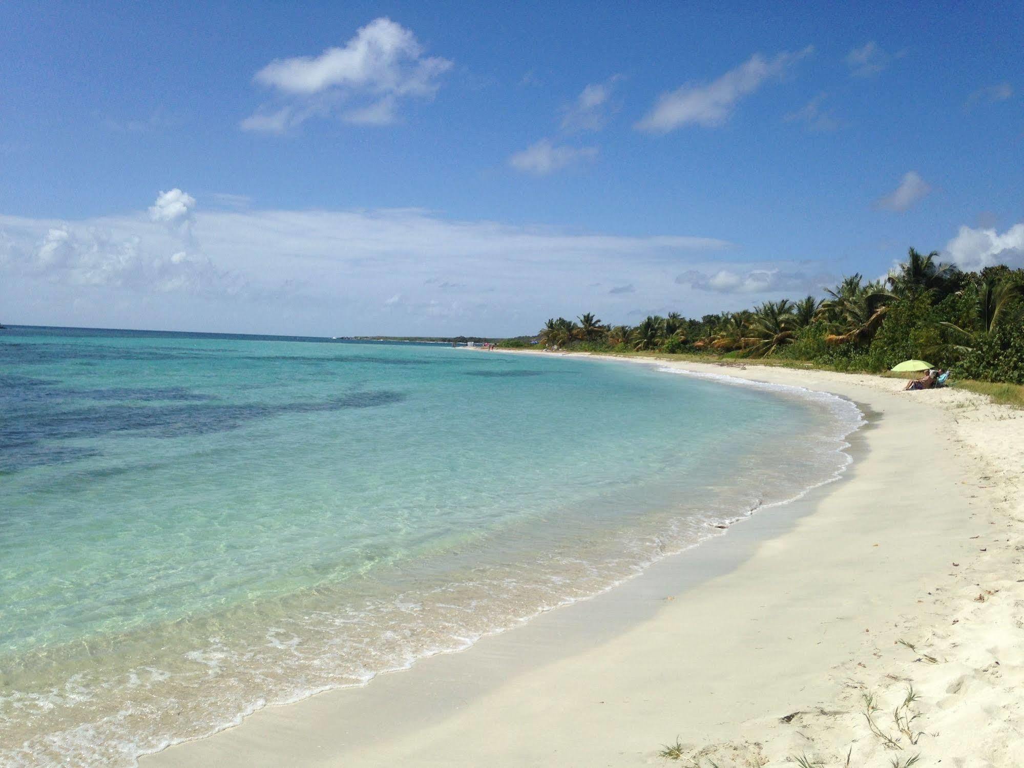 Vieques Good Vibe Guest House ภายนอก รูปภาพ
