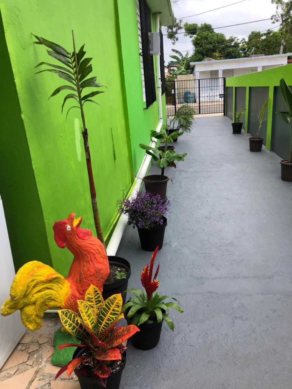 Vieques Good Vibe Guest House ภายนอก รูปภาพ